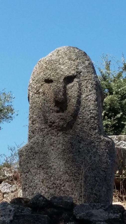 Corsica Monti Gite Appart Petreto-Bicchisano Dış mekan fotoğraf