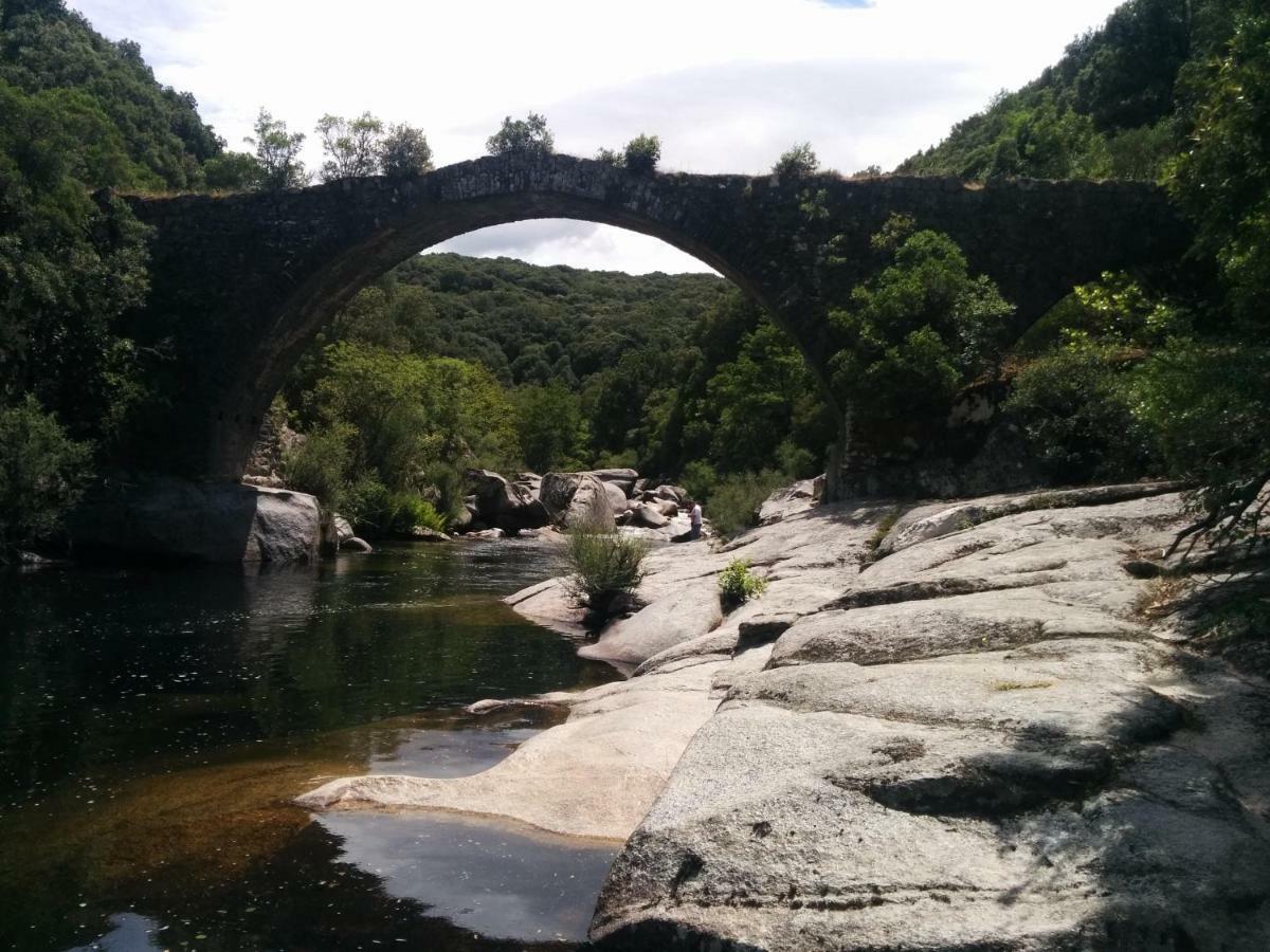 Corsica Monti Gite Appart Petreto-Bicchisano Dış mekan fotoğraf