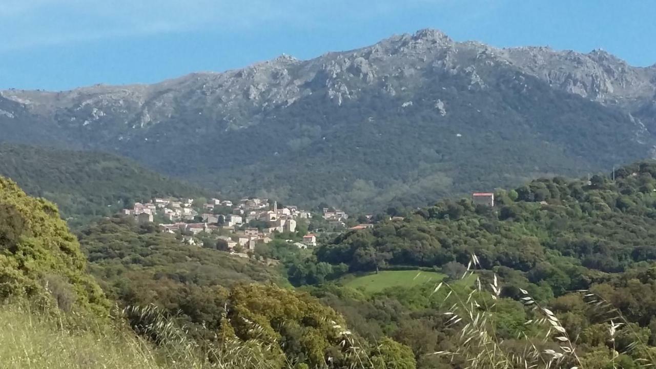 Corsica Monti Gite Appart Petreto-Bicchisano Dış mekan fotoğraf